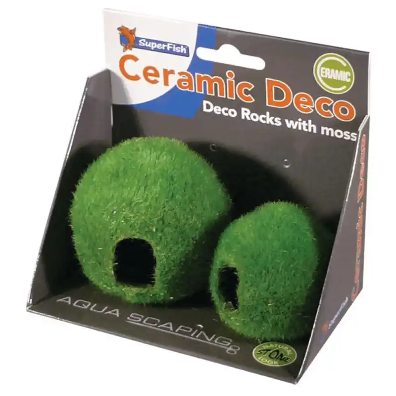 Bestel Nu Fish Home with moss 2 stuks