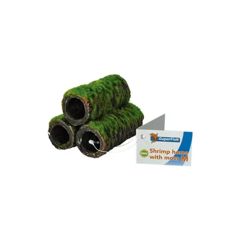 Shrimp Home with moss Medium Beste Prijs