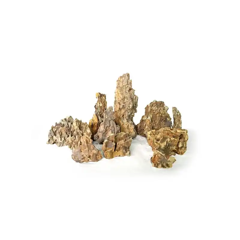 HS Aqua Dragon Rock Medium Fabrieksprijs