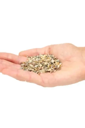 Mierentuin Kleine Sierstenen 200gram Express Levering