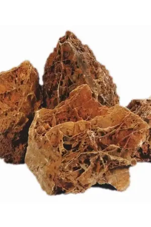 HS Aqua Maple Leaf Rock L Speciale Aanbieding