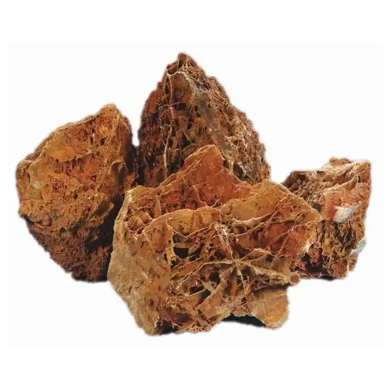 HS Aqua Maple Leaf Rock L Speciale Aanbieding