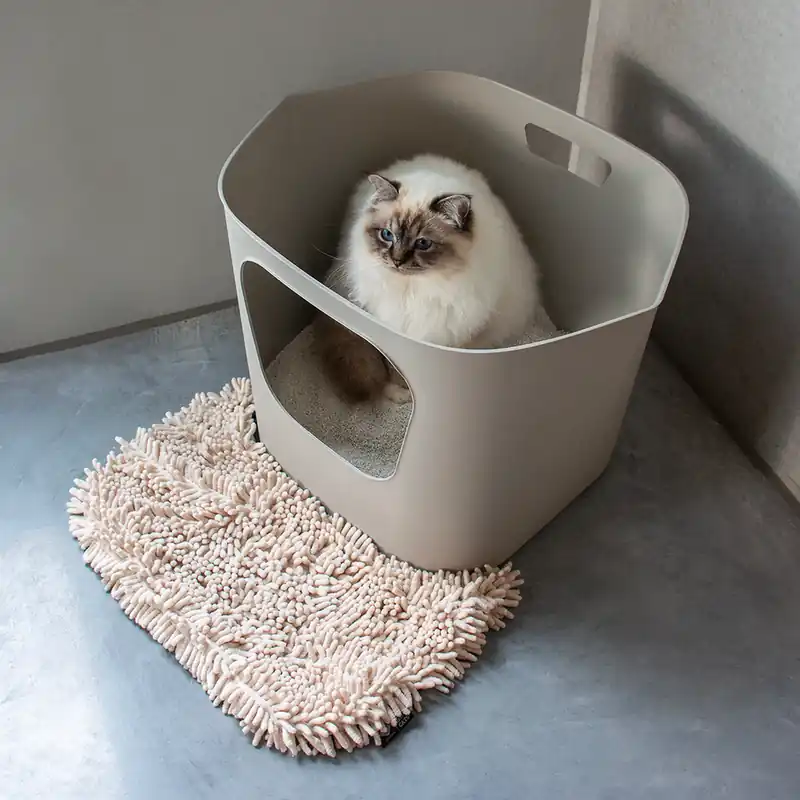 DAISY - kattenbakmat Direct Beschikbaar