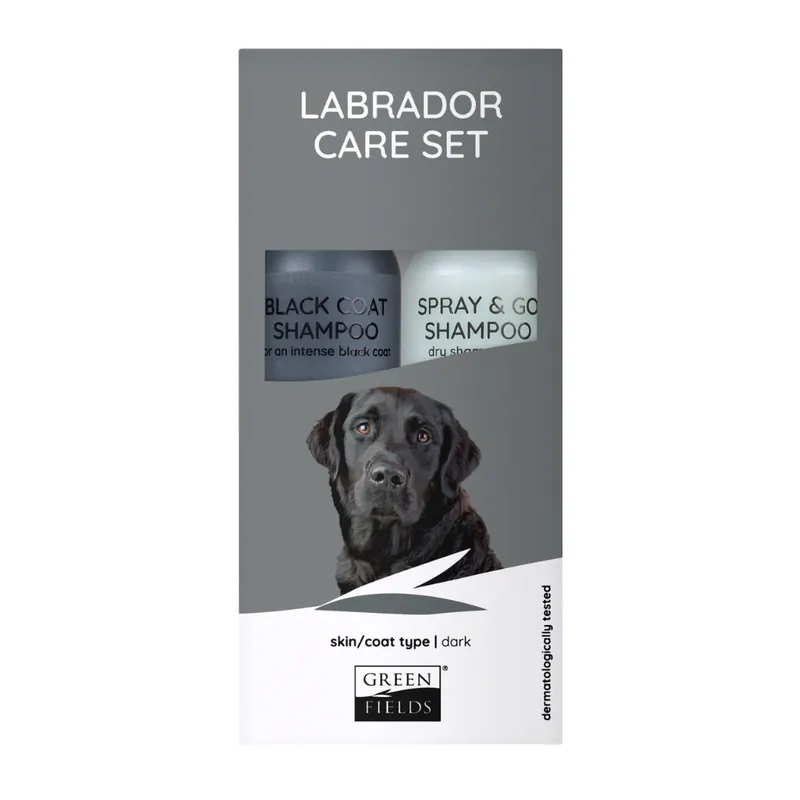 Alleen Vandaag Labrador Care Set