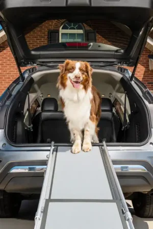 Happy Ride™ Compact Telescoping Dog Ramp Veilige Betaling