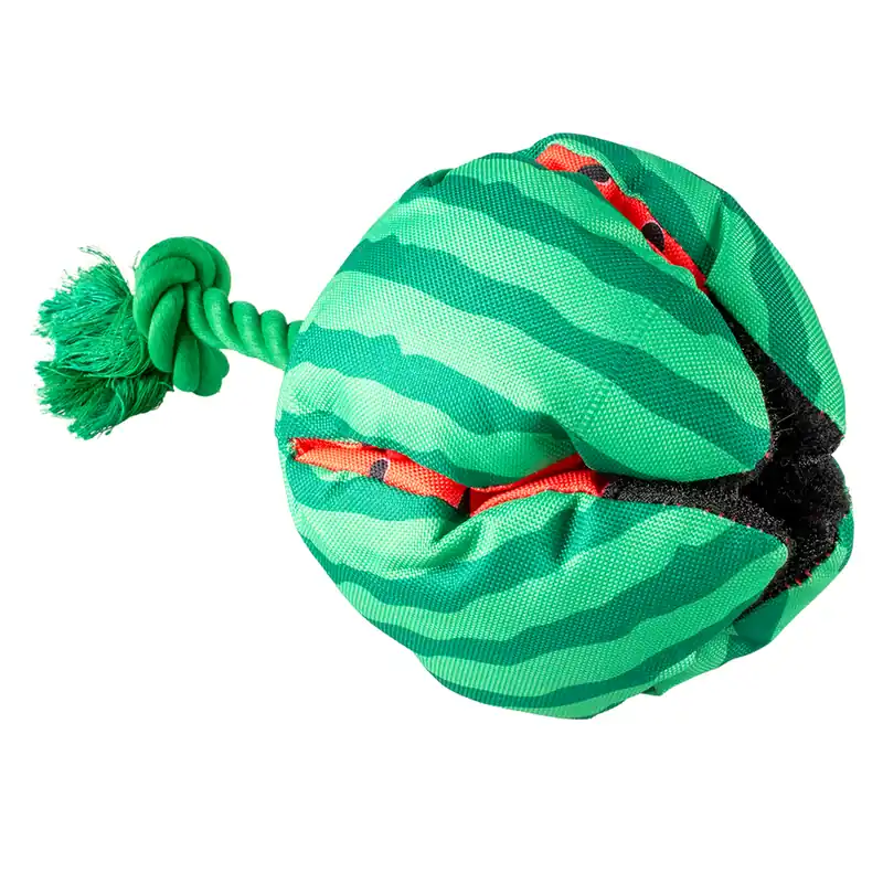 Snackspeeltje watermeloen Uitverkoop