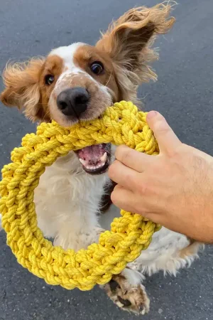 Voordeelprijs ‘Da-Chain‘ gevlochten ring
