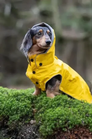 Speciale Aanbieding Rukka Pets Stream Raincoat