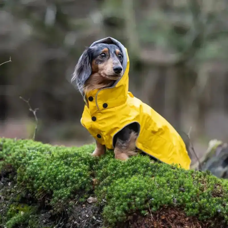 Speciale Aanbieding Rukka Pets Stream Raincoat