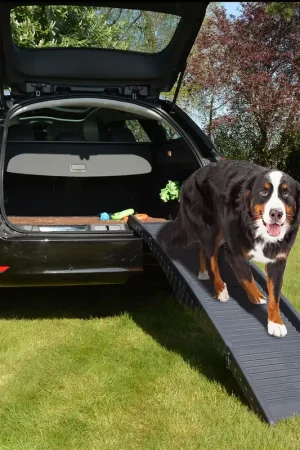 Loopplank Auto Plastic Easy Step (Tot 50Kg) Hoge Kwaliteit