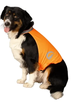 Korting Nightwalk dog safety vest