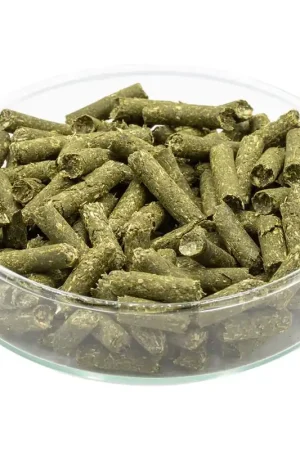 Premium Echinacea garnalen voedersticks