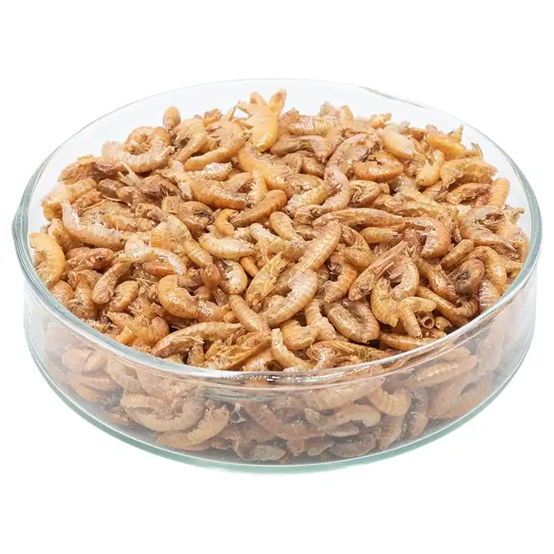 Nieuw Gedroogde vlokreeftjes (Gammarus)