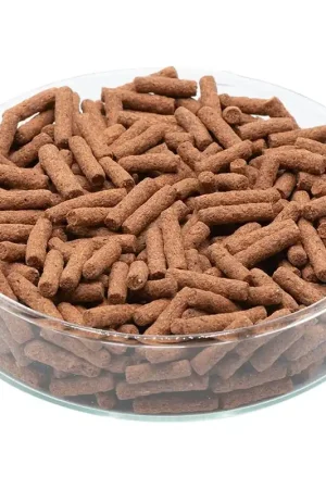 Koop Online Cichliden sticks drijvend