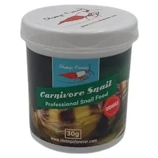 Shrimps Forever Carnivore Snail (carnivoor) Aanbieding