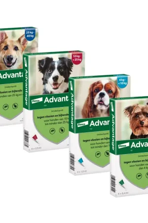 Alleen Vandaag Advantage Hond