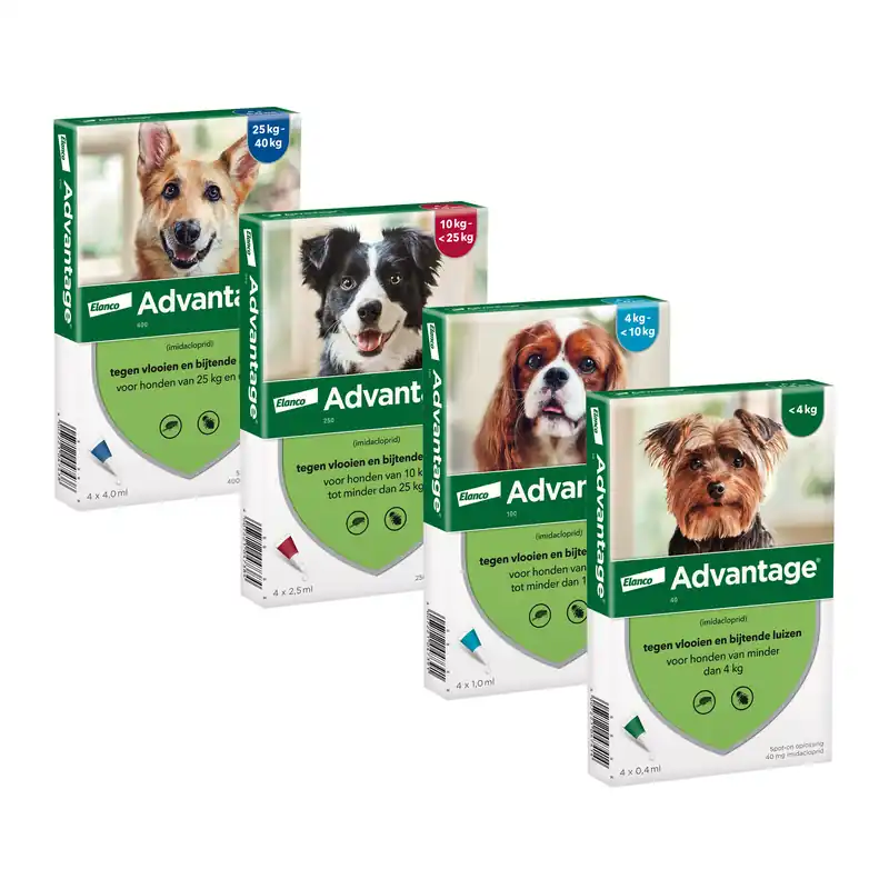 Alleen Vandaag Advantage Hond