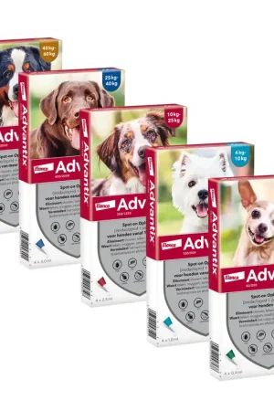 Advantix Veilige Betaling