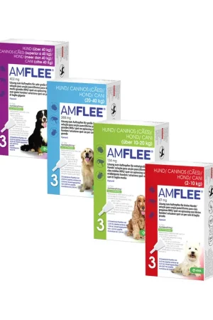 Superprijs Amflee Spot-on Hond