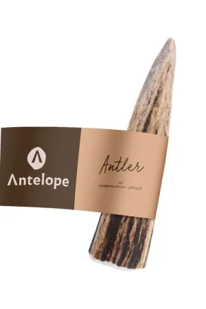 Antelope Antler Hertengewei Gratis Retour