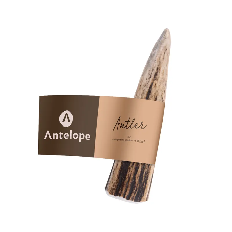 Antelope Antler Hertengewei Gratis Retour