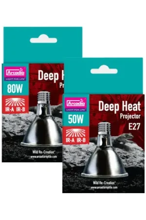 Arcadia Deep Heat Projector Speciale Aanbieding