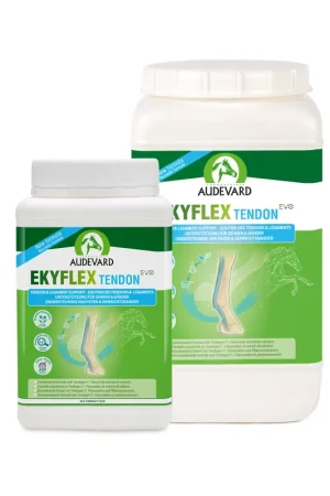 Audevard Ekyflex Tendon EVO Express Levering