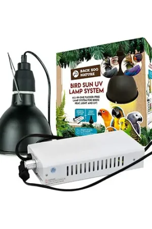 Back Zoo Nature Bird Sun UV-Lamp Snelle Levering