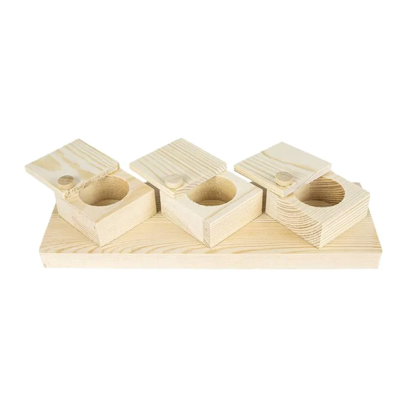 Alleen Vandaag Back Zoo Nature Brain Trainer Cups