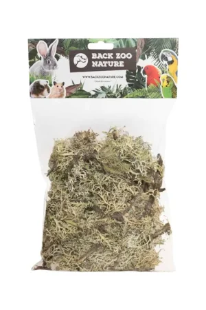 Speciale Aanbieding Back Zoo Nature Branch Moss