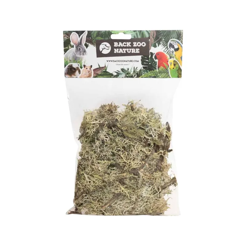 Speciale Aanbieding Back Zoo Nature Branch Moss