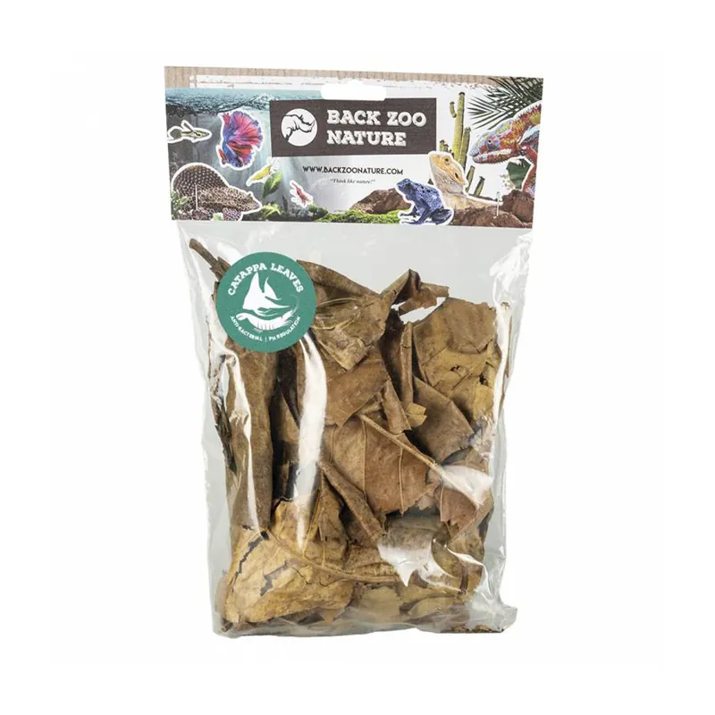 Back Zoo Nature Catappa Leaves Laatste Kans