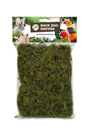 Shop Nu Back Zoo Nature Forest Moss