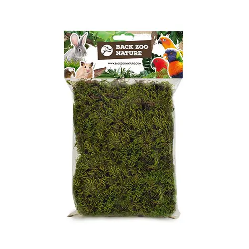 Shop Nu Back Zoo Nature Forest Moss