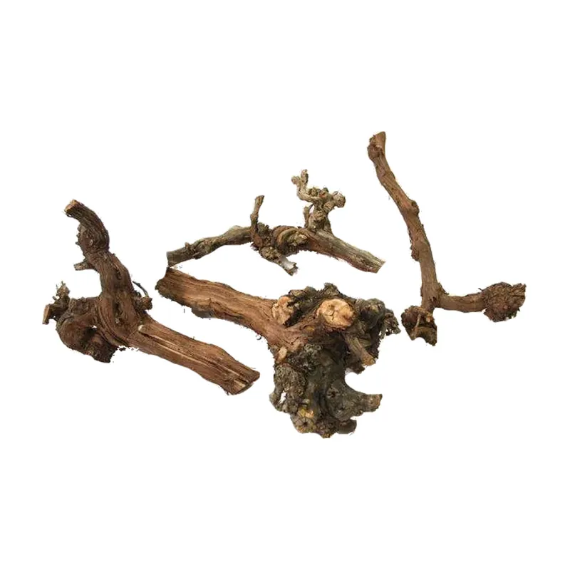 Back Zoo Nature Grapevine Globet Korting