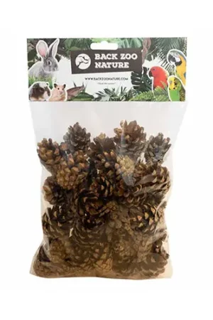 Beperkte Voorraad Back Zoo Nature Small Forest Pine Cones