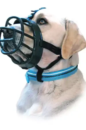Baskerville Ultra Muzzle Muilkorf Nu Kopen