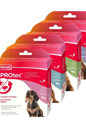 Beaphar FiproTec Spot-On Hond Rechtstreeks Van De Fabrikant