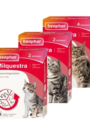 Beaphar Milquestra Kat Nu Kopen