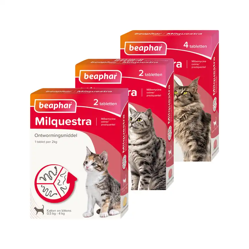 Beaphar Milquestra Kat Nu Kopen
