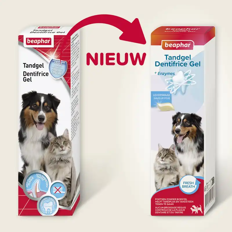 Beaphar Tandgel Op = Op