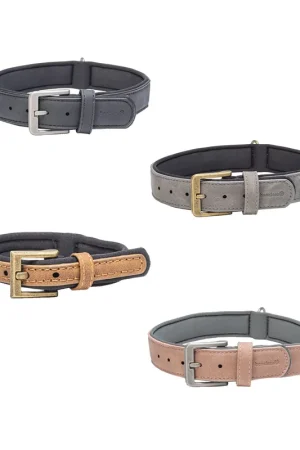 Uitverkoop Beeztees Balacron Ax Halsband Kunstleer - Hond