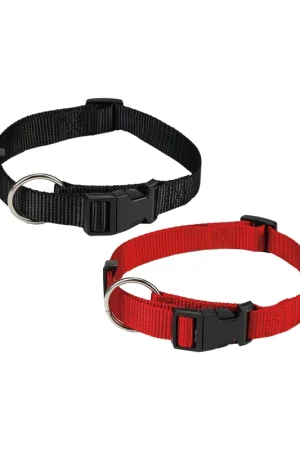 Betrouwbaar Beeztees Halsband Hond met Kliksluiting