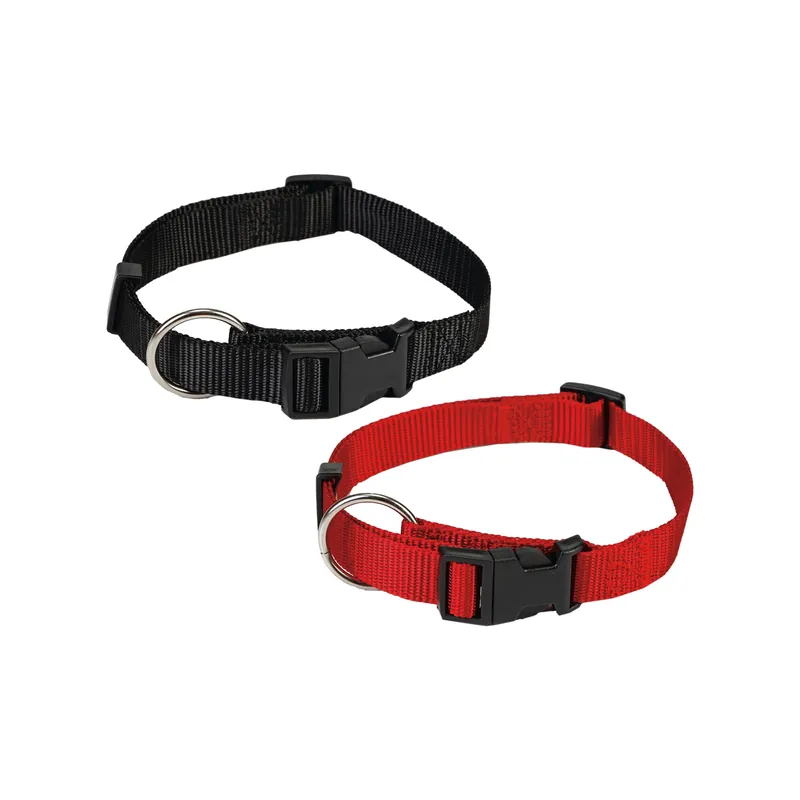Betrouwbaar Beeztees Halsband Hond met Kliksluiting