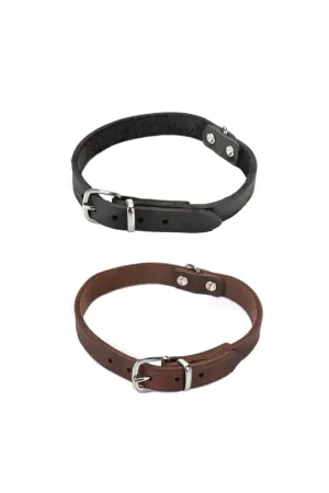 Speciale Aanbieding Beeztees Halsband Hond Leer