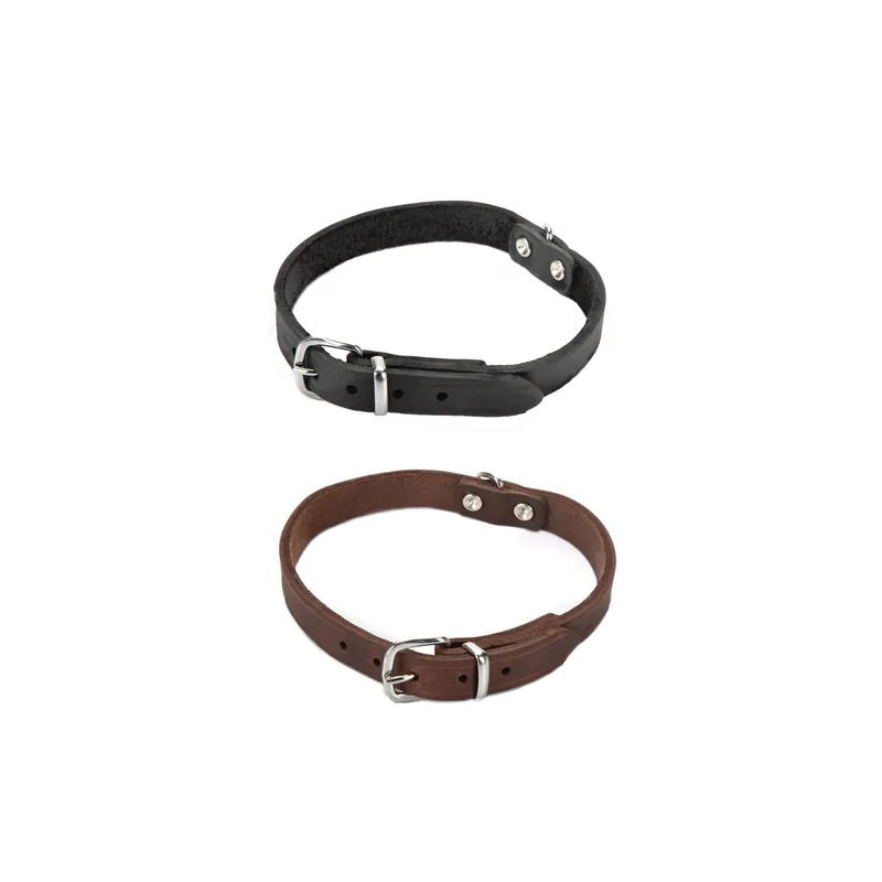 Speciale Aanbieding Beeztees Halsband Hond Leer