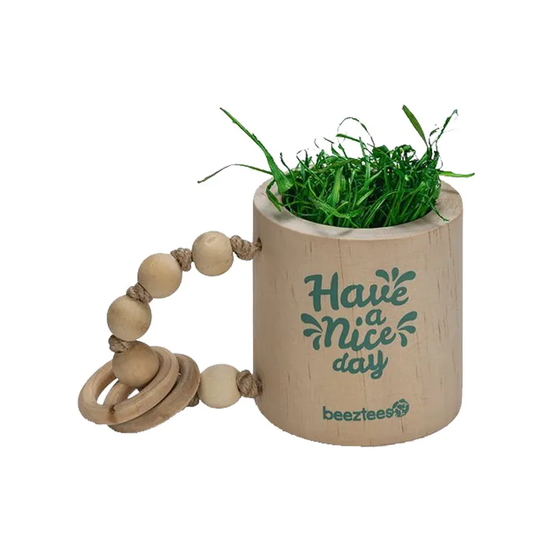 Beeztees Have a Nice Day Knaagdierspeelgoed Koop Online