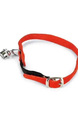 Beeztees Kattenhalsband Suede - Rood Snelle Levering