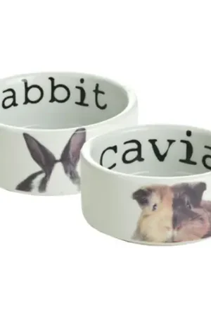 Beeztees Snapshot Voerbak Exclusieve Aanbieding
