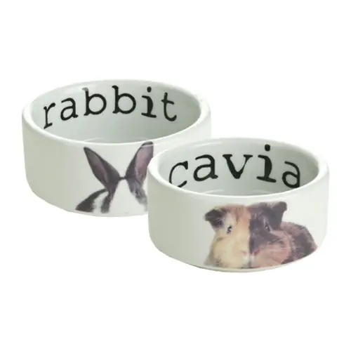 Beeztees Snapshot Voerbak Exclusieve Aanbieding